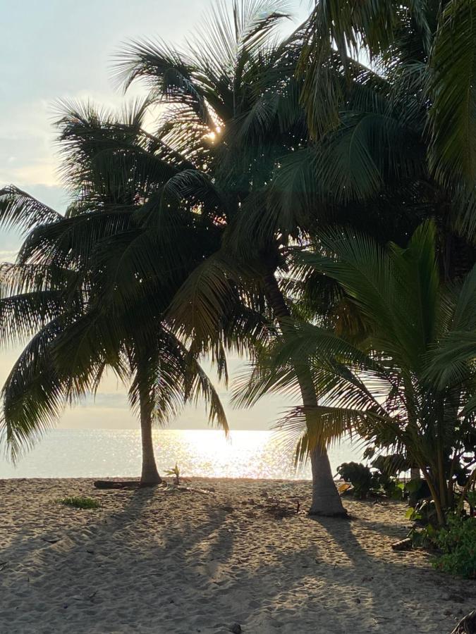 Anda Di Hows Hostel Placencia Экстерьер фото