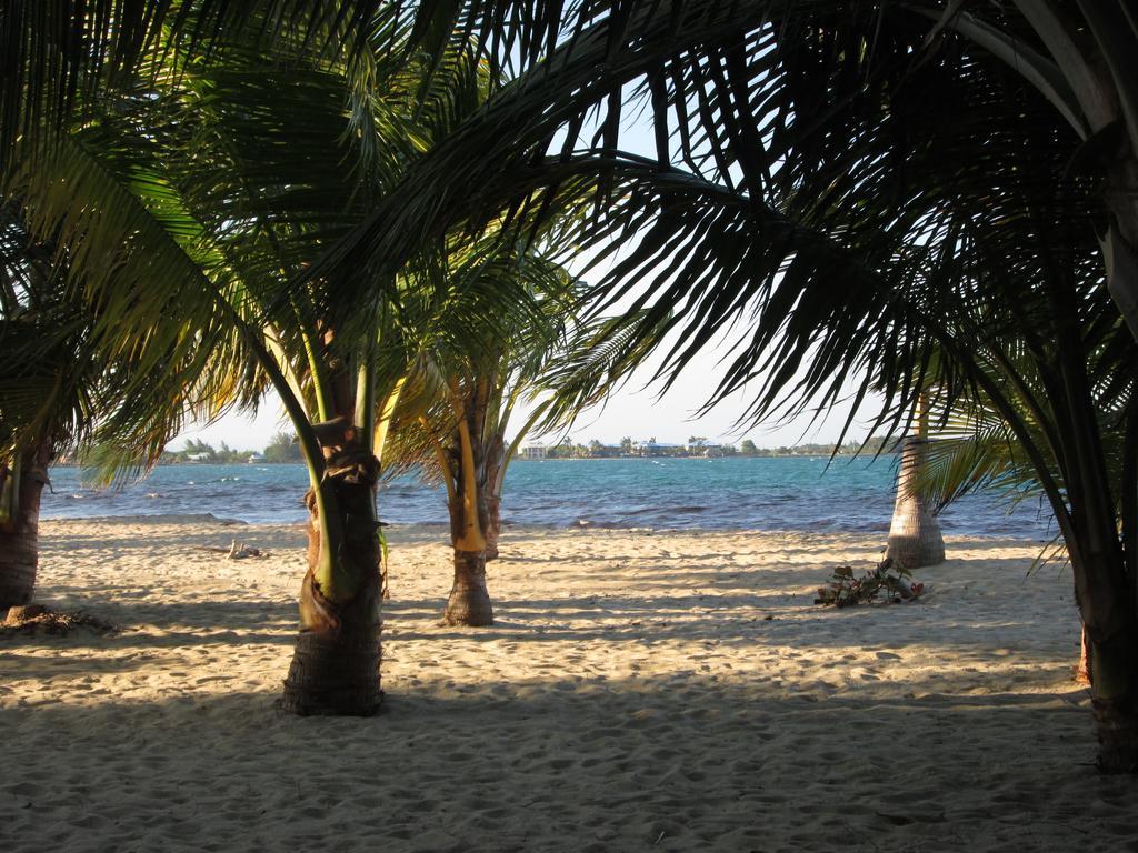 Anda Di Hows Hostel Placencia Экстерьер фото