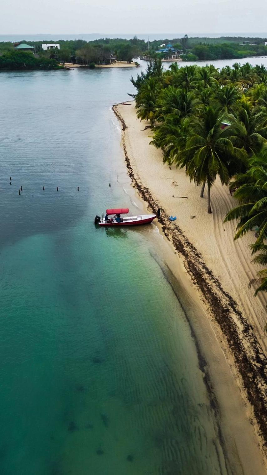 Anda Di Hows Hostel Placencia Экстерьер фото