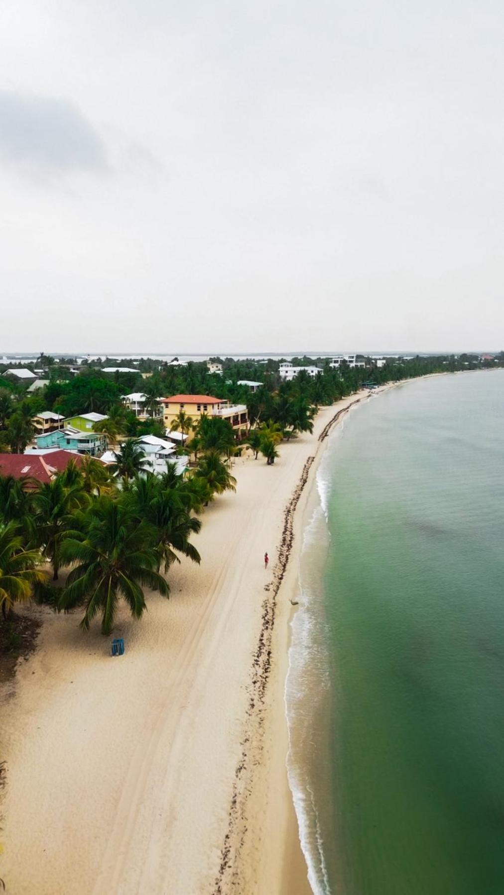 Anda Di Hows Hostel Placencia Экстерьер фото