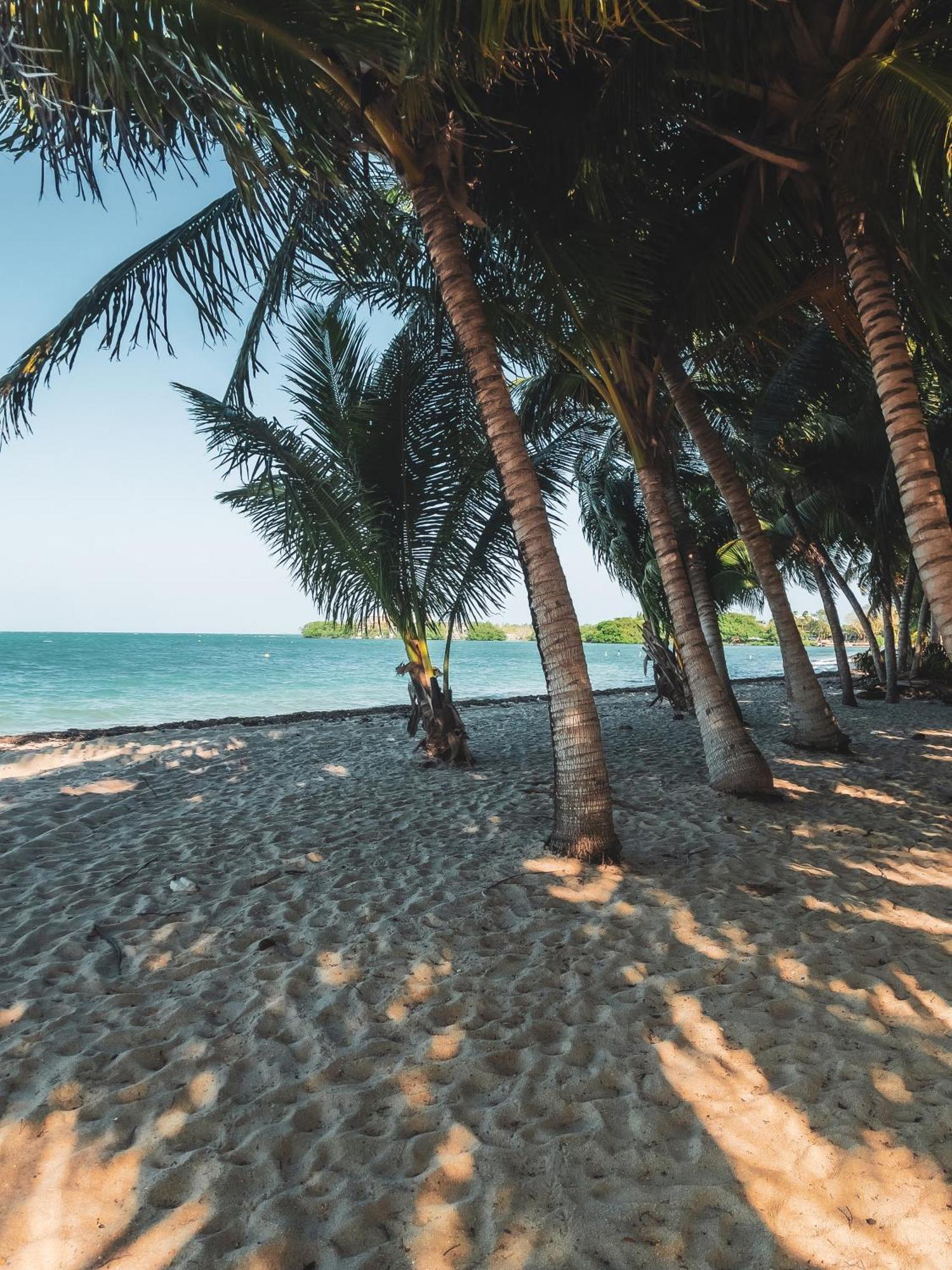 Anda Di Hows Hostel Placencia Экстерьер фото