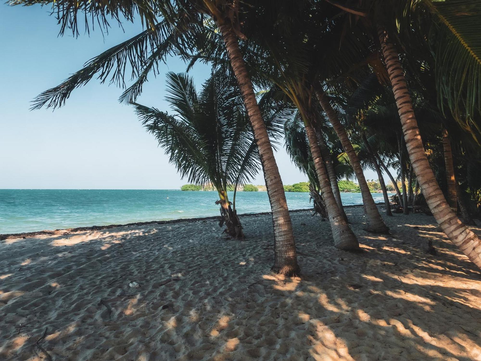 Anda Di Hows Hostel Placencia Экстерьер фото