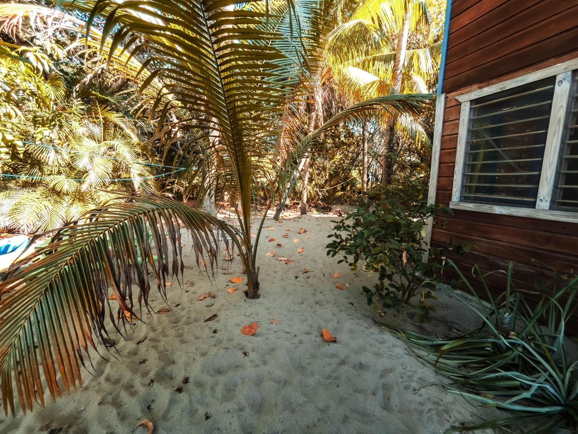 Anda Di Hows Hostel Placencia Экстерьер фото