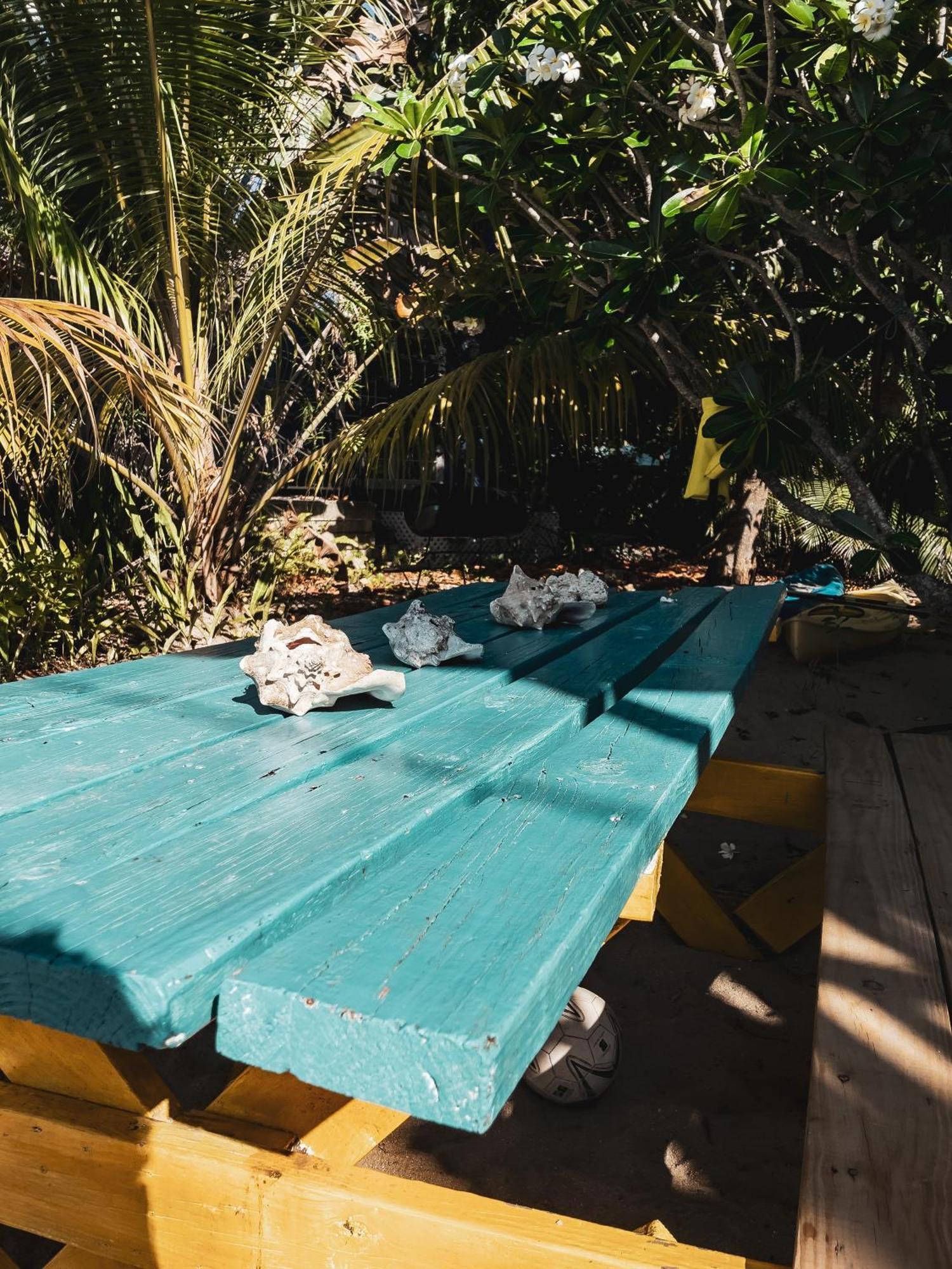 Anda Di Hows Hostel Placencia Экстерьер фото