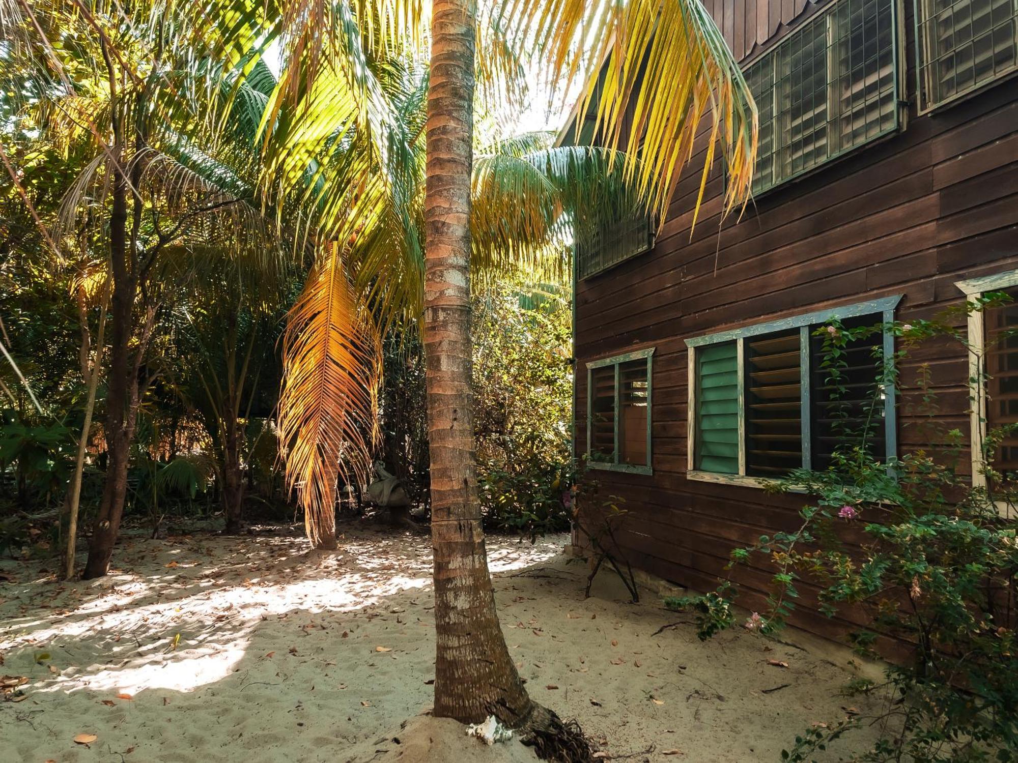 Anda Di Hows Hostel Placencia Экстерьер фото