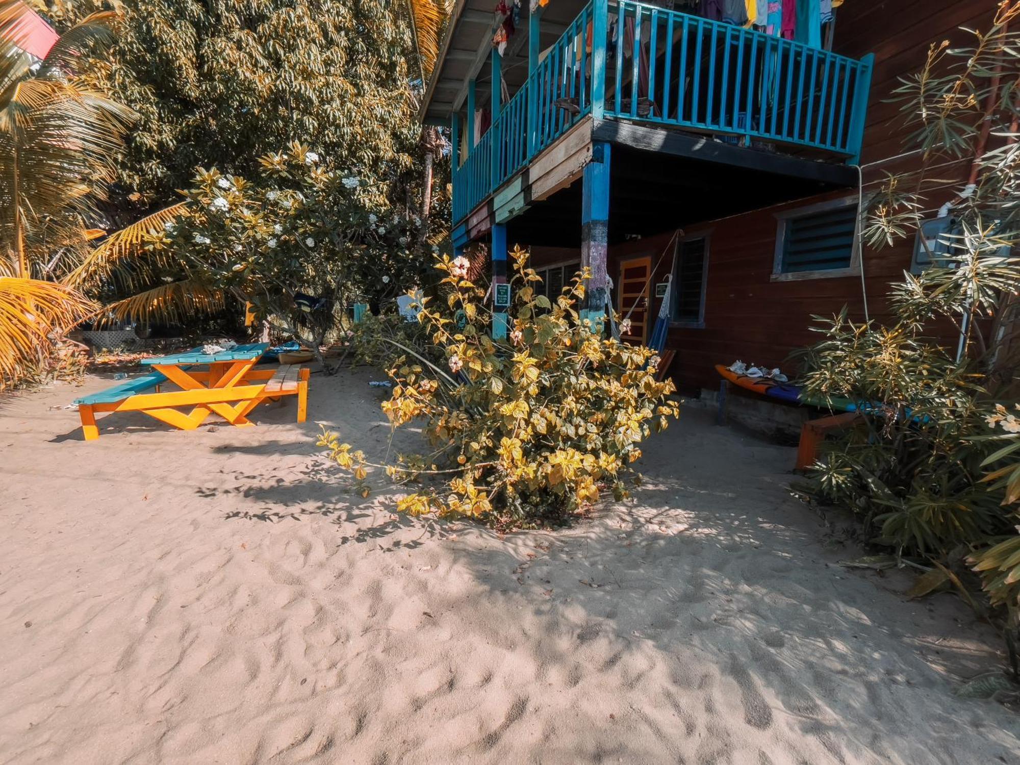 Anda Di Hows Hostel Placencia Экстерьер фото