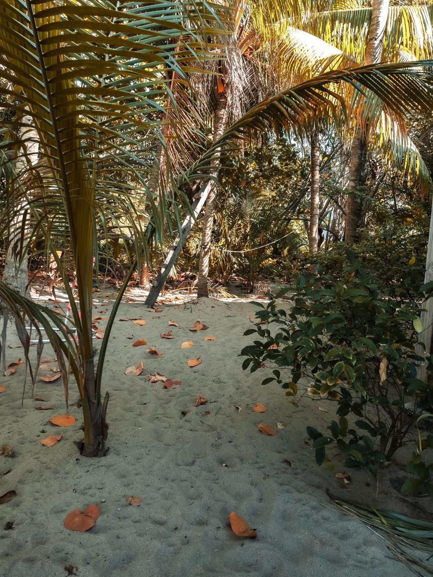 Anda Di Hows Hostel Placencia Экстерьер фото