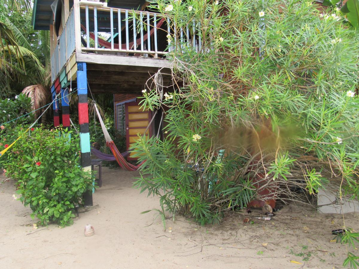 Anda Di Hows Hostel Placencia Экстерьер фото