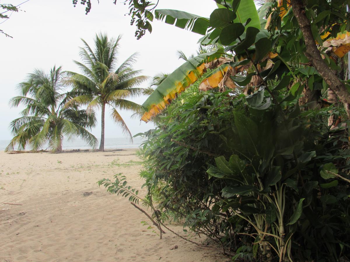 Anda Di Hows Hostel Placencia Экстерьер фото